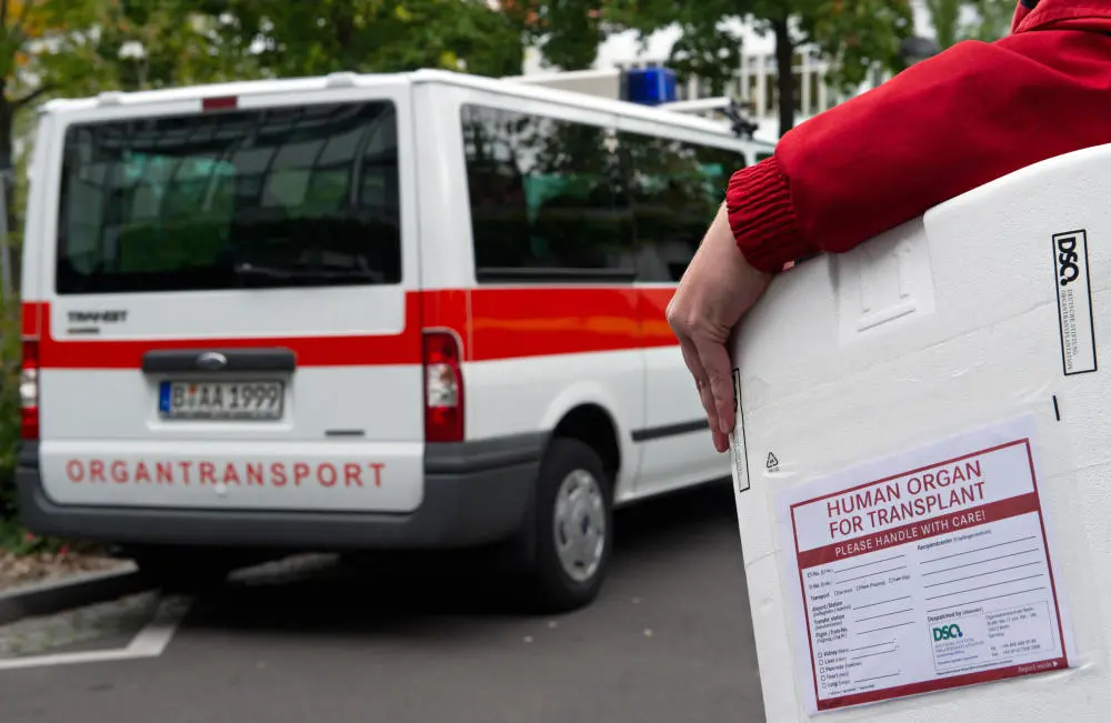 Ein Styropor-Behälter zum Transport von Organen wird zu einem Fahrzeug für den Organtransport gebracht.