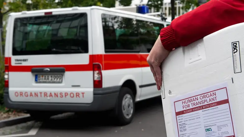 Ein Styropor-Behälter zum Transport von Organen wird zu einem Fahrzeug für den Organtransport gebracht.