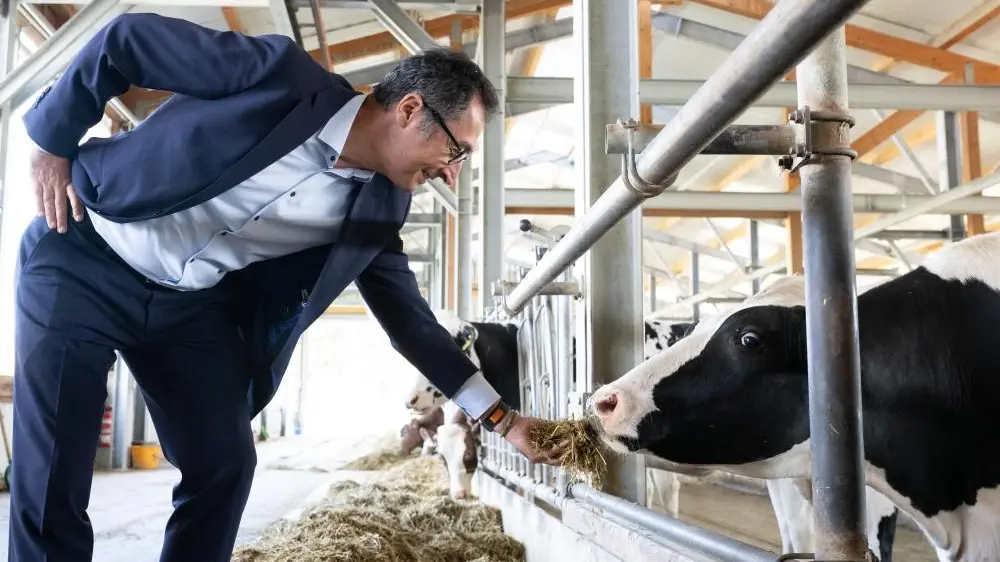 Das Bild zeigt Landwirtschaftsminister Cem Özdemir mit einer Kuh. 