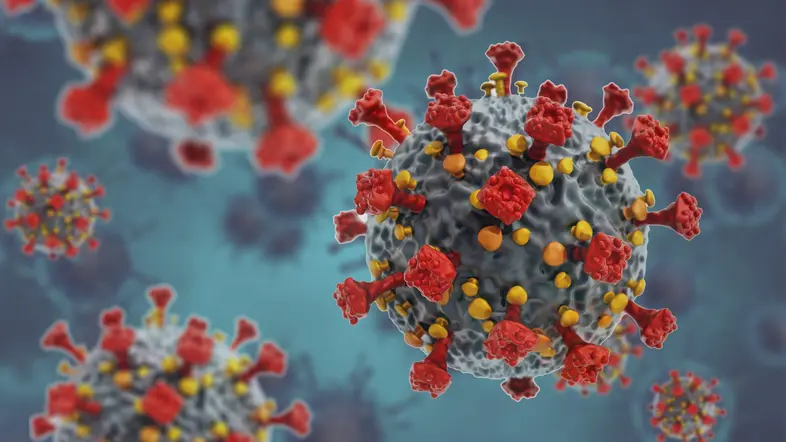 3D Grafik des Coronavirus