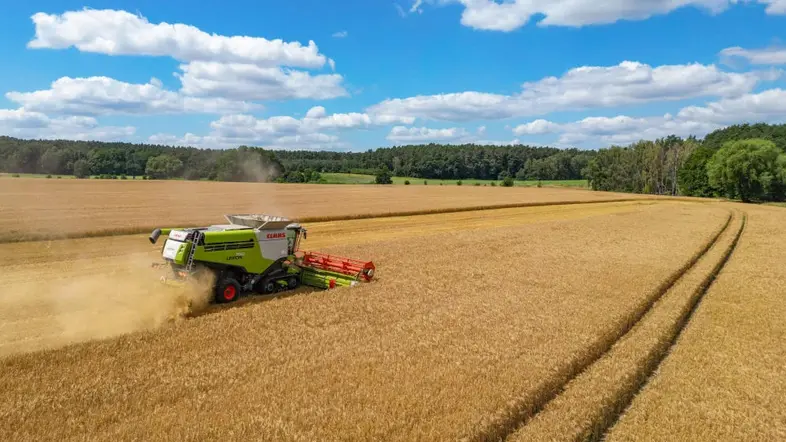 Ein Landwirt erntet mit seinem Mähdrescher Gerste auf einem Feld