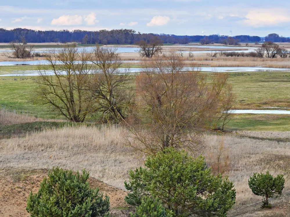 Der Nationalpark Unteres Odertal am deutsch-polnischen Grenzfluss Oder.