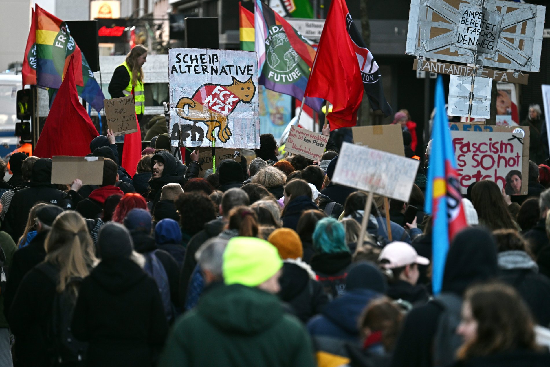 Zahlreiche Menschen mit Plakaten und Fahnen bei einer Demonstration gegen die AfD und Rechtsextremismus